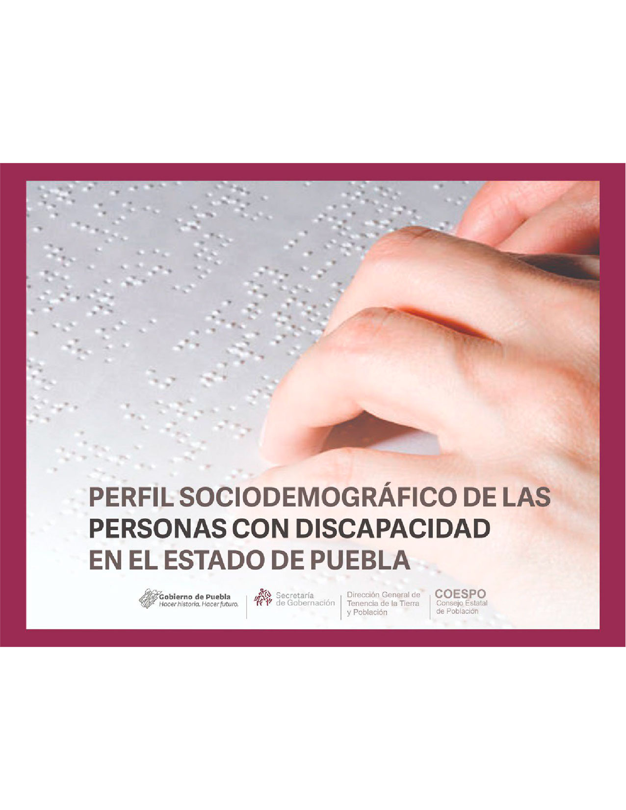 Perfil Sociodemográfico de las Personas con Discapacidad en el Estado de Puebla