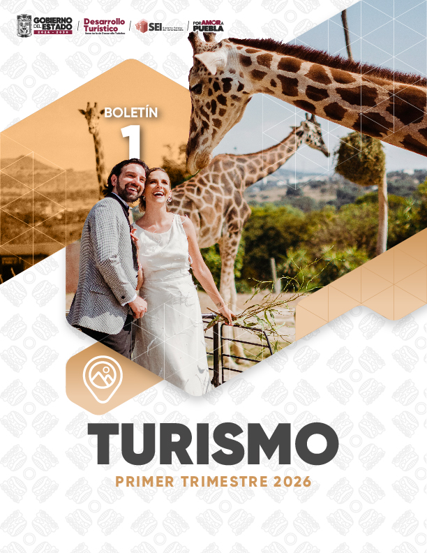 Boletín de Turismo