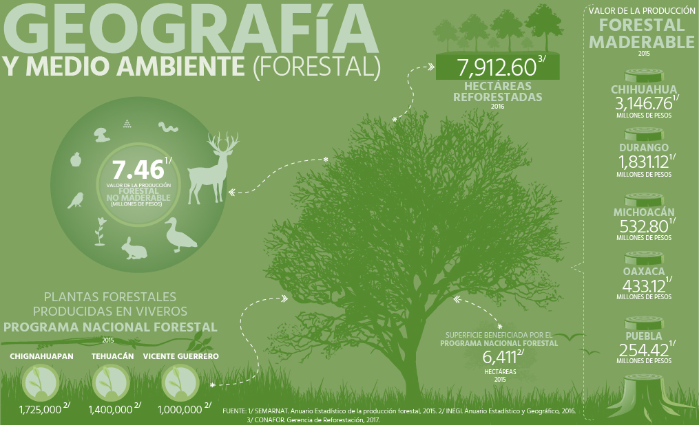 Geografía y Medio Ambiente (Forestal)