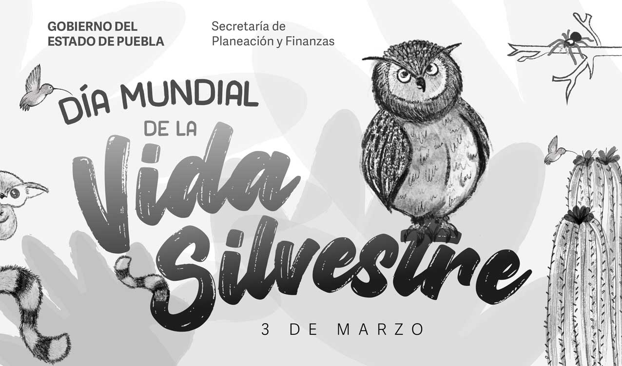 Día Mundial de la Vida Silvestre