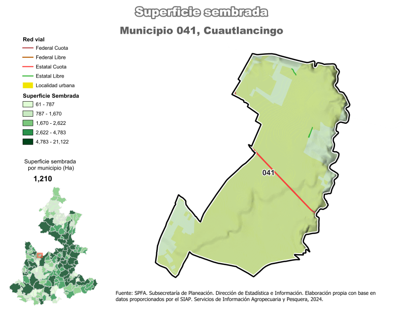 Superficie Sembrada - Cuautlancingo