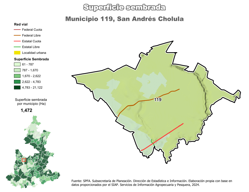 Superficie Sembrada - San Andrés Cholula