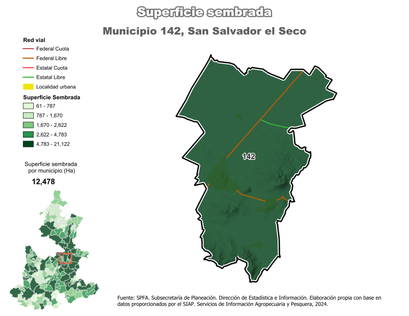 Superficie Sembrada - San Salvador el Seco