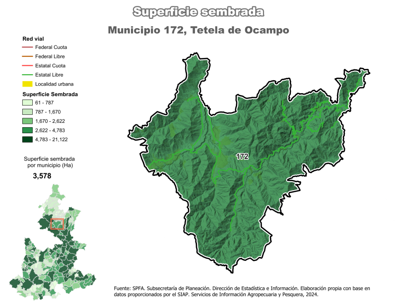 Superficie Sembrada - Tetela de Ocampo