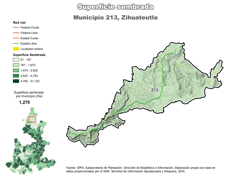 Superficie Sembrada - Zihuateutla