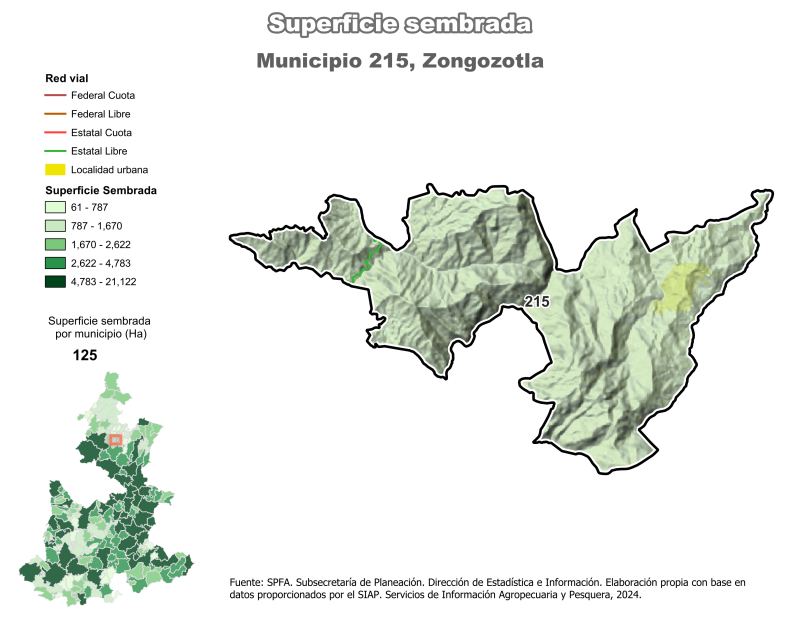 Superficie Sembrada - Zongozotla