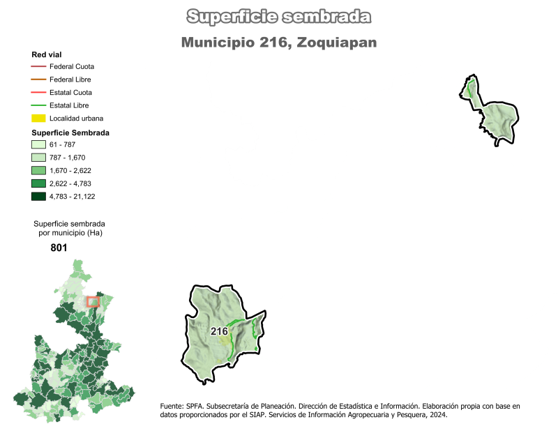 Superficie Sembrada - Zoquiapan
