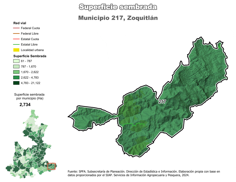 Superficie Sembrada - Zoquitlán