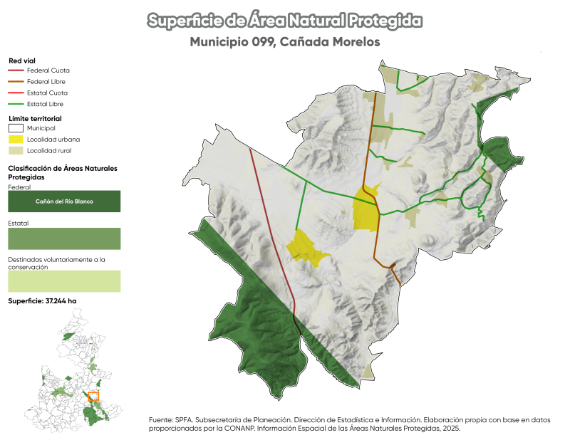 Superficie de Área Natural Protegida - Cañada Morelos